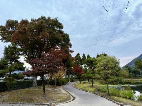 秋の夕方　福井県紫式部公園 紫式部公園,福井県,庭園の写真素材
