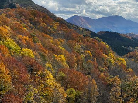 紅葉の山肌 紅葉の山肌の写真
