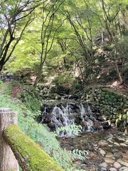 養老の滝の道中 養老の滝の道中 養⽼の滝,日本の滝百選,揖斐関ヶ原養老国定公園の写真素材