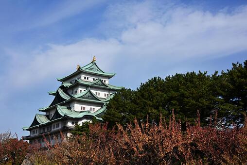 秋の空と名古屋城2 名古屋城,風景,城の写真素材