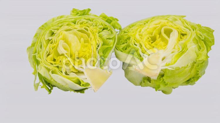 半分に切ったレタス　白背景 レタス,野菜,食材の写真素材