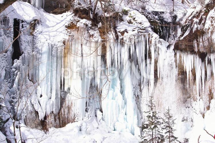 結氷の七条大滝 七条大滝,水,景色の写真素材