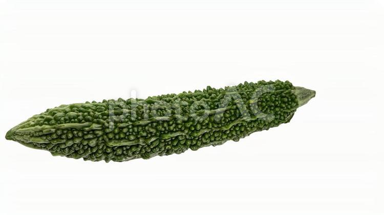 新鮮なゴーヤの物撮り　背景透過 ゴーヤ,苦瓜,野菜の写真素材