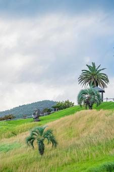 宮崎県　サンメッセ日南 サンメッセ日南,宮崎,日南の写真素材