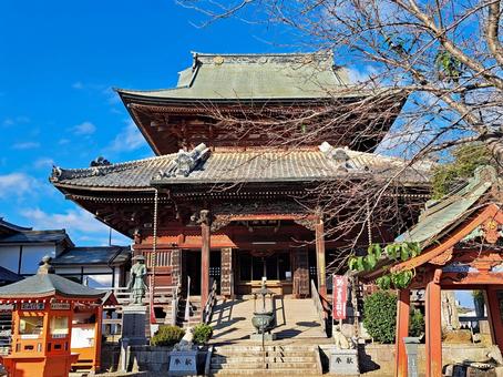 つくばみらい市の板橋不動尊の大本堂 板橋不動尊,板橋不動尊大本堂,不動院の写真素材