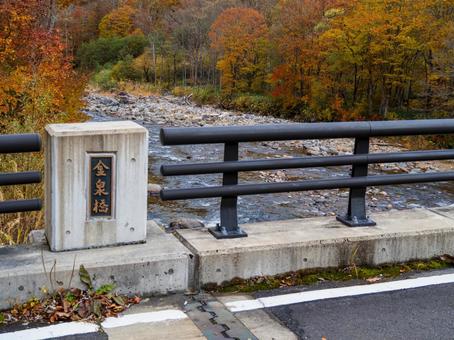 秋の金泉橋 秋の金泉橋の写真