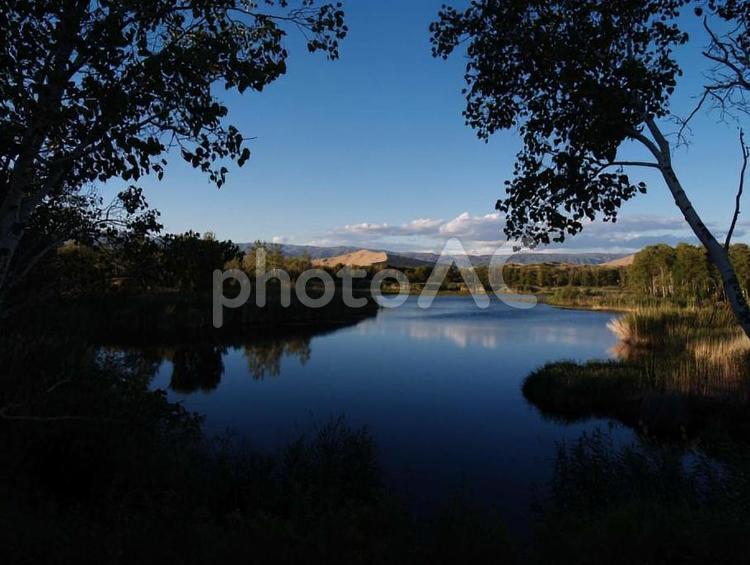 新疆秘密湖 湖,樹,反射の写真素材