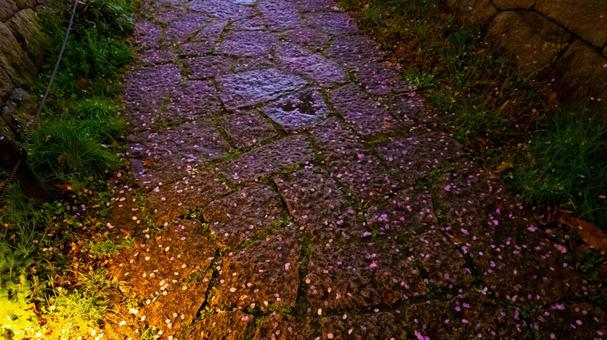 花びら舞う石畳の記憶 花びら舞う石畳の記憶 桜,花びら,石畳の写真素材