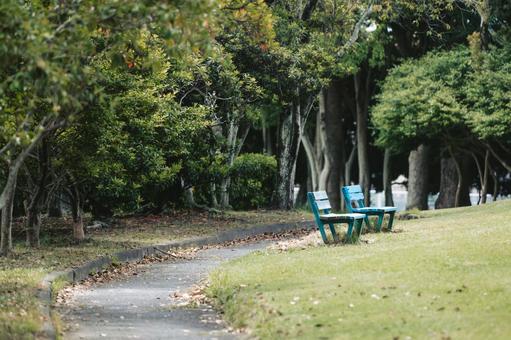 公園とベンチ 公園とベンチ 公園,ベンチ,椅子の写真素材