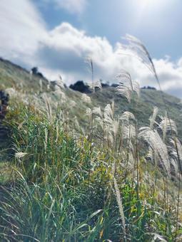 秋の曽爾高原の写真