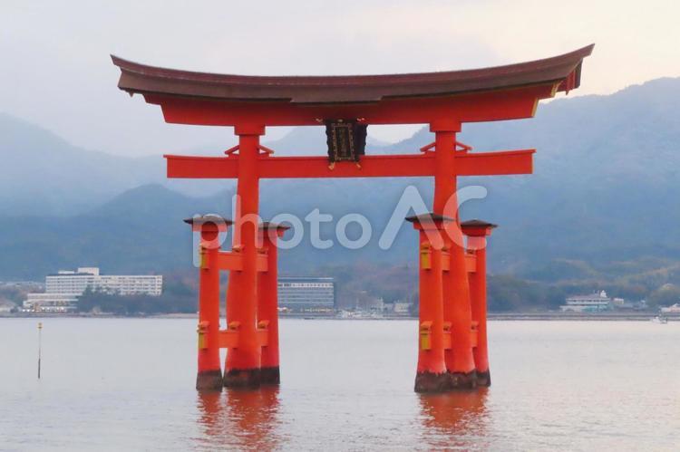 【広島県】日本三景安芸の宮島の大鳥居 宮島,厳島神社,大鳥居の写真素材