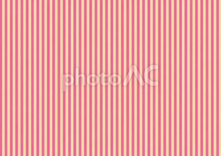 ストライプ_ピンク-クリーム 背景,背景素材,背景画像の写真素材