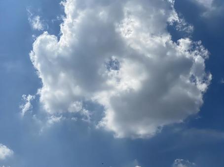 白い雲 白い雲の写真