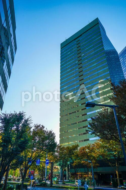 新宿のビル群と秋の空 新宿,秋空,秋の写真素材
