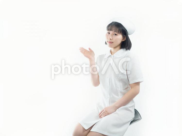 【女性】看護師【白バック】 女,女性,若い女性の写真素材