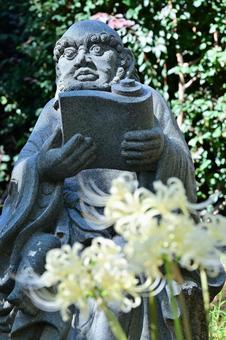 金沢・香林寺の白い彼岸花 金沢・香林寺の白い彼岸花 日本,石像,観光地の写真素材