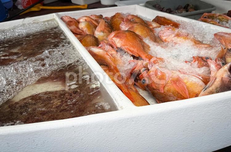 早朝シーフードマーケットに並ぶ新鮮な魚 シーフード,海鮮,フレッシュの写真素材