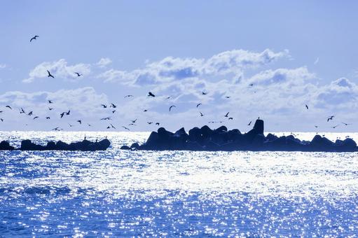 青い海23(田原市) 青い海23(田原市)の写真