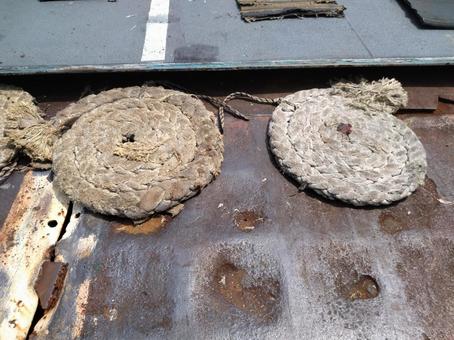 マット マットの写真