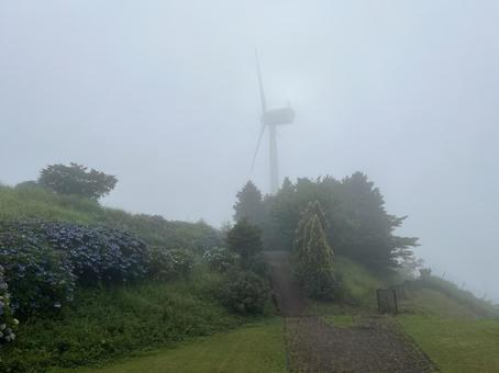 Photo, kochi prefecture, ootake-cho, play with the wind, 