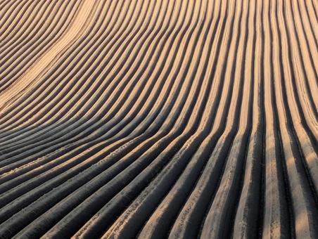 Photo, field, soil, countryside, 
