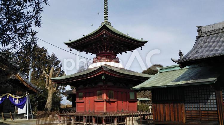 性海寺　多宝塔 文化財,稲沢市,寺の写真素材