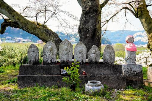 島根雲南・斐伊川堤防桜並木の石仏群 島根雲南・斐伊川堤防桜並木の石仏群の写真