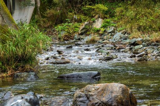 静岡県浜松市川合渕公園 日本,静岡県,浜松市の写真素材