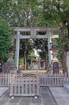 下連雀八幡大神社(三鷹) 下連雀八幡大神社(三鷹)の写真