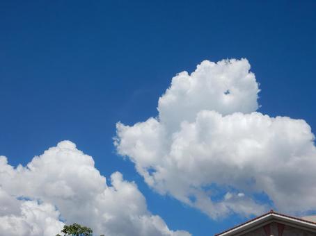 【風景写真】夏空 【風景写真】夏空の写真
