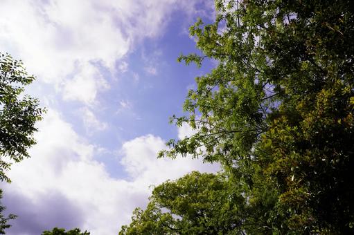 雲の多い空 雲の多い空 雲,空,天気の写真素材
