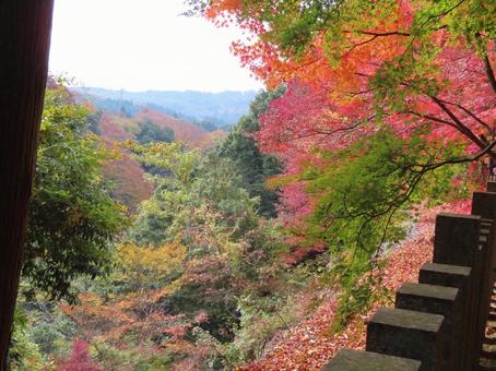 紅葉と青空 紅葉と青空,山並み,紅葉の写真素材