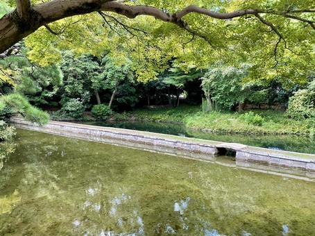 小石川後楽園西湖堤 小石川後楽園西湖堤 小石川後楽園,後楽園,西湖堤の写真素材