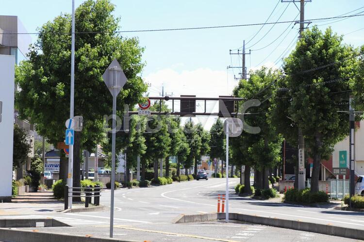 カーブする道と道路標識 道路,屋外,昼間の写真素材