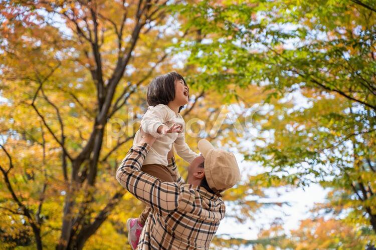 秋の公園で遊ぶ父親と子供 親子,子供,キッズの写真素材