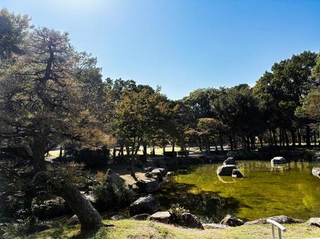 公園 公園,自然,japanの写真素材