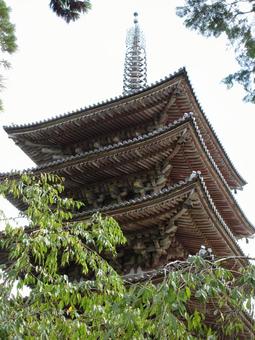 京都府-醍醐寺-国宝-五重塔-近景 京都府-醍醐寺-国宝-五重塔-近景の写真