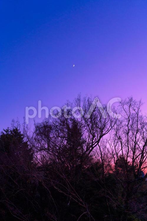 マジックアワーの背景素材 風景,太陽,日の出の写真素材