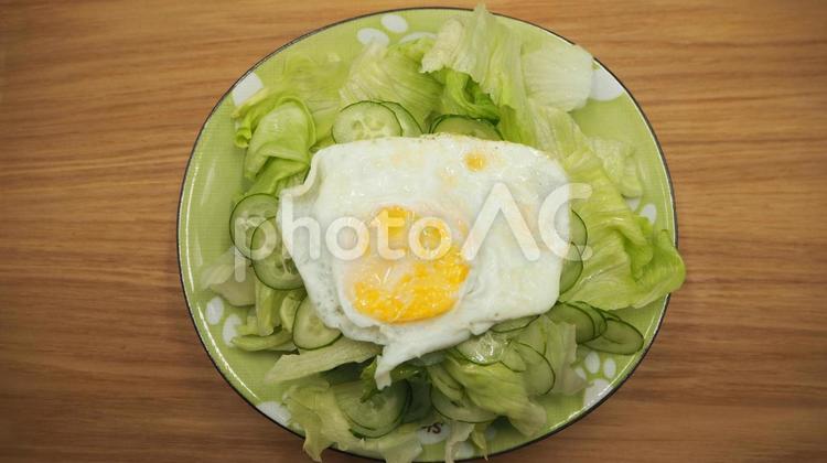 生野菜サラダ（目玉焼きのせ）・お家ごはん 生野菜,野菜サラダ,レタスの写真素材