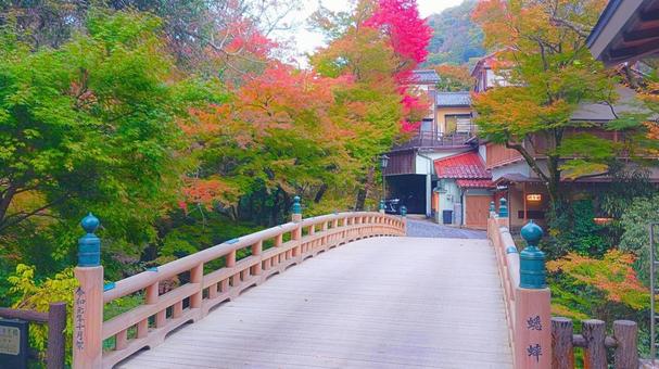 こおろぎ橋4 こおろぎ橋,橋,蟋蟀橋の写真素材
