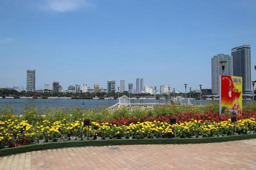 ベトナムダナンのハン川風景 ベトナムダナンのハン川風景 ベトナム,ダナン,ハン川の写真素材
