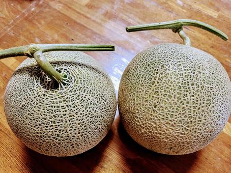 メロン 2個 メロン 2個 メロン,2個,果物の写真素材