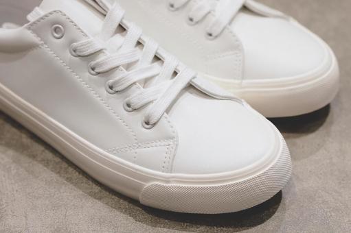 Photo, shoes, cord shoe, sneakers, 