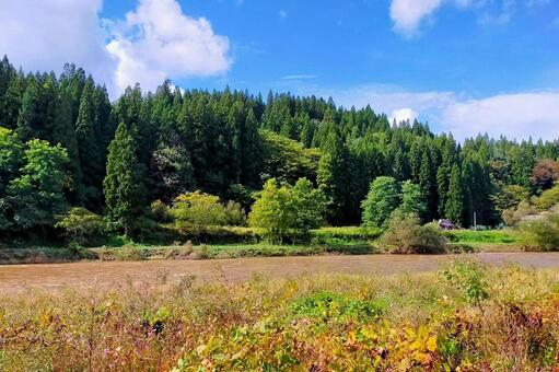 2025年10月の里山18 山間部,川原,泥流の写真素材