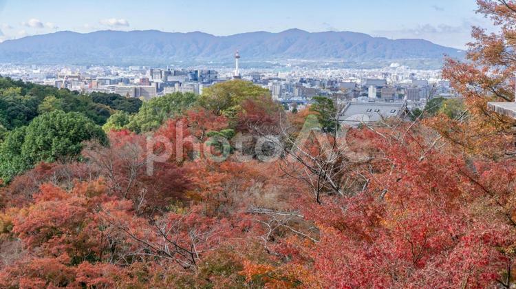 2021年秋の伏見稲荷大社で 清水寺,天気,寺社仏閣の写真素材