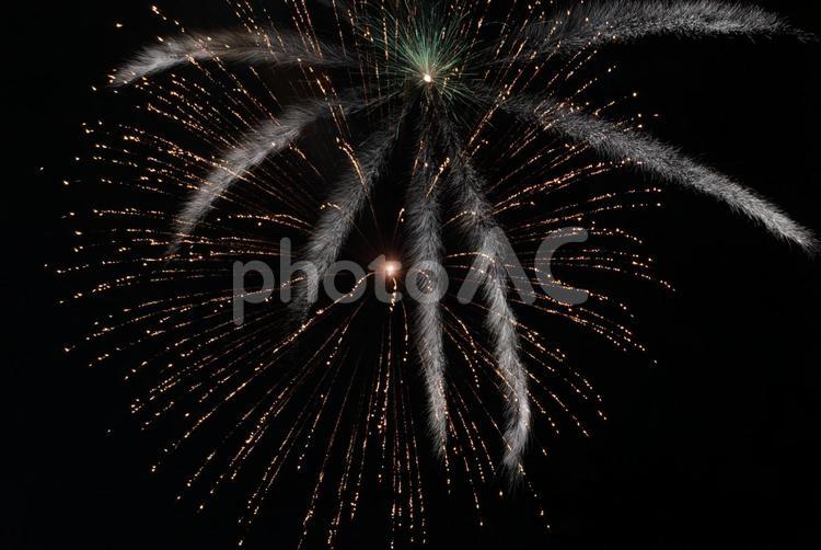 夏の夜を彩る打ち上げ花火 打ち上げ花火,花火,夏の写真素材