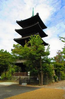 愛知県-興正寺-五重塔 愛知県-興正寺-五重塔 興正寺,寺,八事山の写真素材