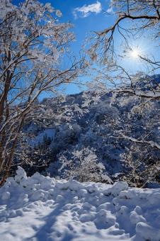 250320秋山郷清水川原、結東 250320秋山郷清水川原、結東の写真