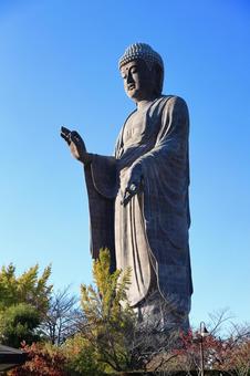 牛久大仏 仏像,青空,紅葉の写真素材