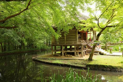 中尊寺5 中尊寺5の写真